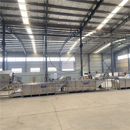 明超扇貝肉清洗漂燙流水線 水產(chǎn)加工設(shè)備